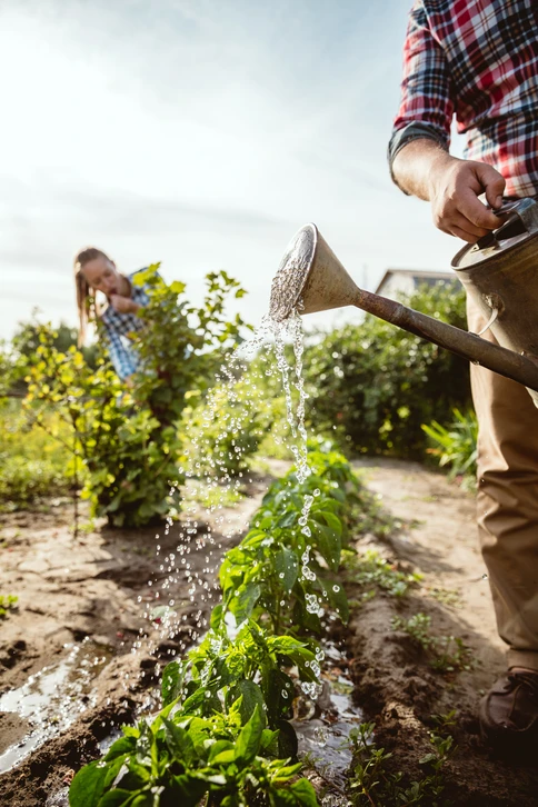Femme professionnelle en costume beige visitant une jardinerie couverte, examinant des plantes d'intérieur disposées sur étagères métalliques