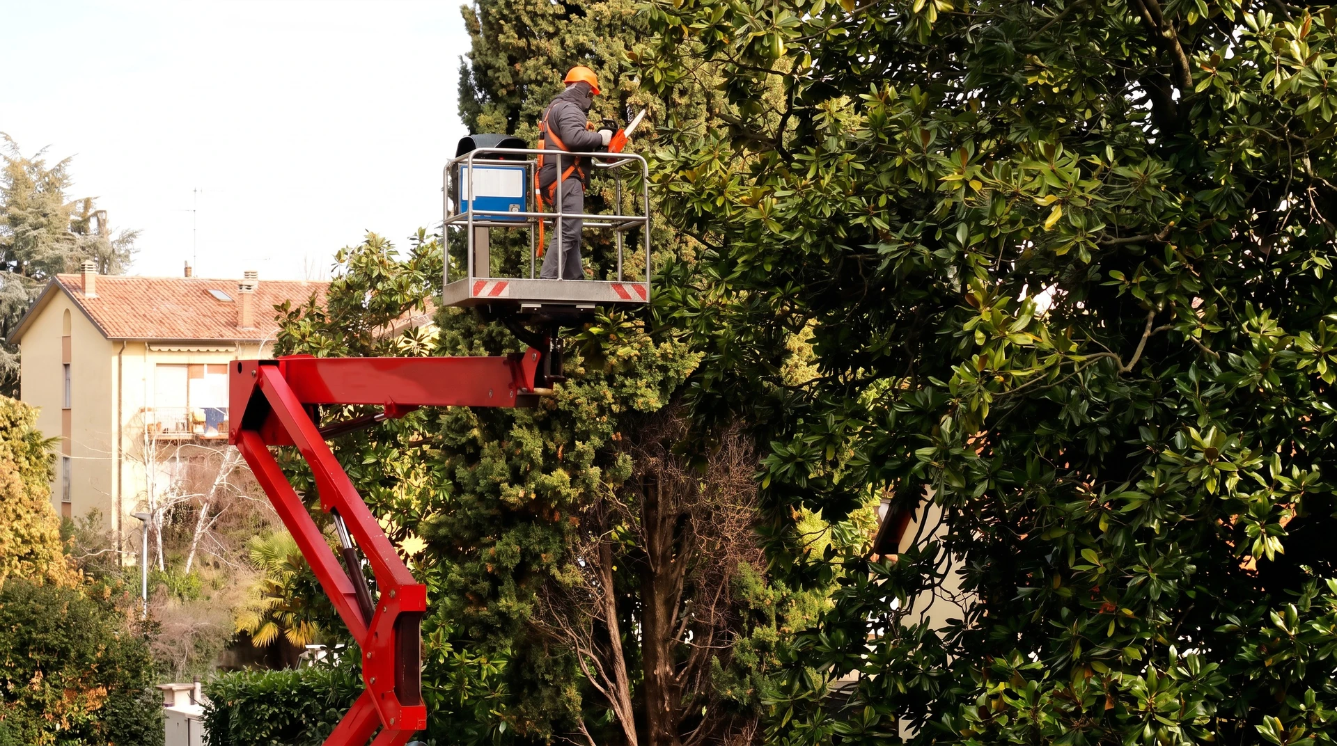 Un élagueur professionnel en équipement de sécurité complet (casque, gants, baudrier) en train d'élaguer les branches d'un grand arbre, utilisant une tronçonneuse ou une scie à long manche. L'élagueur est clairement positionné sur l'arbre ou en terrain élevé, manipulant les outils de manière professionnelle. L'arrière-plan montre un jardin ou propriété résidentielle typique. La photo capture le professionnalisme et l'expertise du métier d'élagueur.