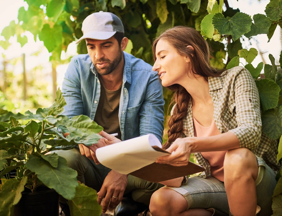 Photographie d'un professionnel du paysagisme accueillant un client dans un jardin aménagé, en train de discuter ou présenter le projet. L'atmosphère doit être professionnelle, accueillante et internationale - on peut voir discrètement des éléments visuels suggérant la communication (documents, plans du projet) ou simplement une interaction courtoise et attentive entre le paysagiste et le client. L'arrière-plan montre un beau jardin bien entretenu avec éléments paysagers de qualité. L'image doit être ensoleillée, accueillante et incarner la relation client personnalisée et professionnelle de Cotton Garden.